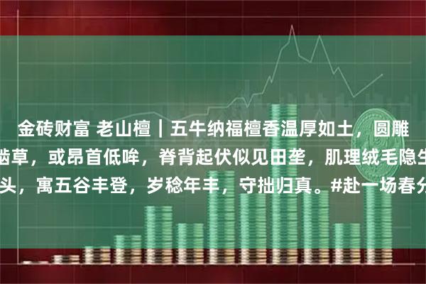 金砖财富 老山檀｜五牛纳福檀香温厚如土，圆雕五牛各具情态。或俯首啮草，或昂首低哞，脊背起伏似见田垄，肌理绒毛隐生暗香。可奉案头，寓五谷丰登，岁稔年丰，守拙归真。#赴一场春分野趣之约# #茶室书斋雅玩# #老山檀香#