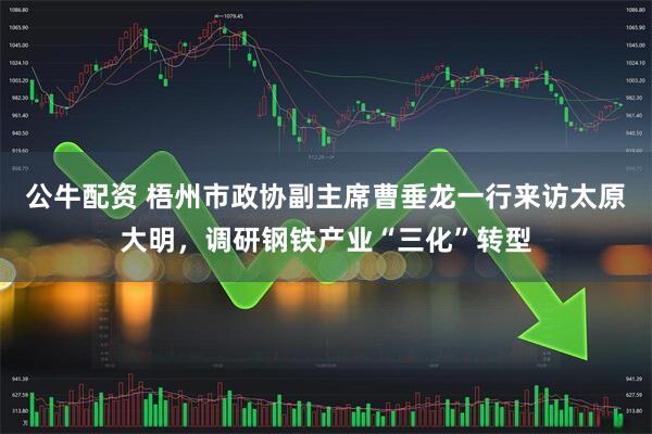 公牛配资 梧州市政协副主席曹垂龙一行来访太原大明，调研钢铁产业“三化”转型