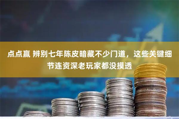 点点赢 辨别七年陈皮暗藏不少门道，这些关键细节连资深老玩家都没摸透