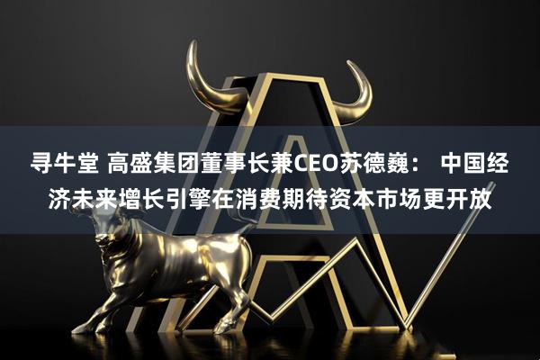 寻牛堂 高盛集团董事长兼CEO苏德巍： 中国经济未来增长引擎在消费期待资本市场更开放