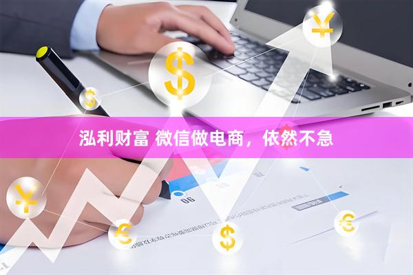 泓利财富 微信做电商，依然不急