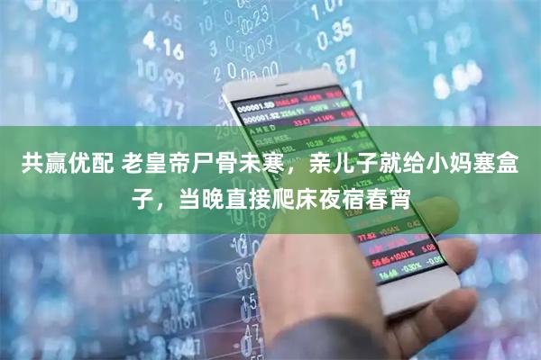 共赢优配 老皇帝尸骨未寒，亲儿子就给小妈塞盒子，当晚直接爬床夜宿春宵