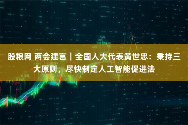 股粮网 两会建言｜全国人大代表黄世忠：秉持三大原则，尽快制定人工智能促进法